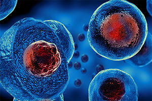 Boston BioLife - Online Academy